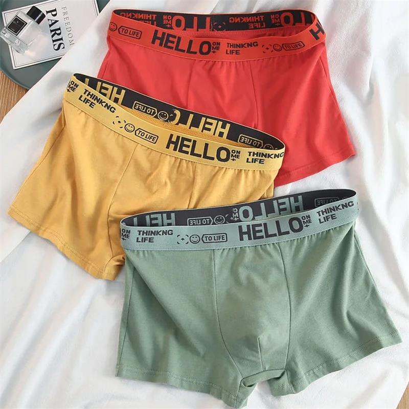 10Pieces/ Men's Underwear Men  - Boxer Shorts Modal review and price