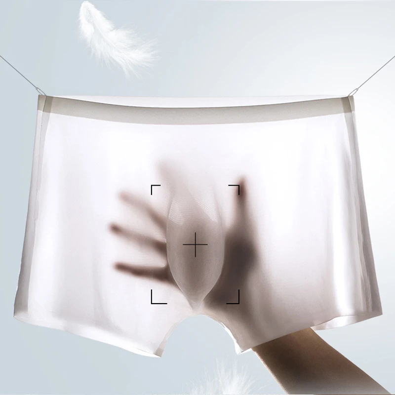 10 Pcs/Lot Men's Summer Ice Si - Boxer Shorts Modal review and price